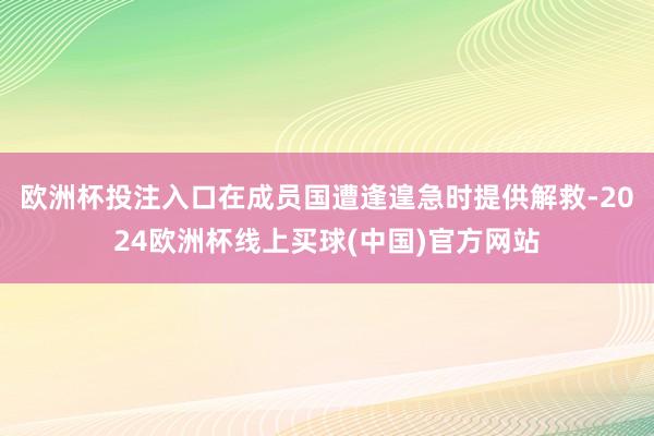 欧洲杯投注入口在成员国遭逢遑急时提供解救-2024欧洲杯线上买球(中国)官方网站
