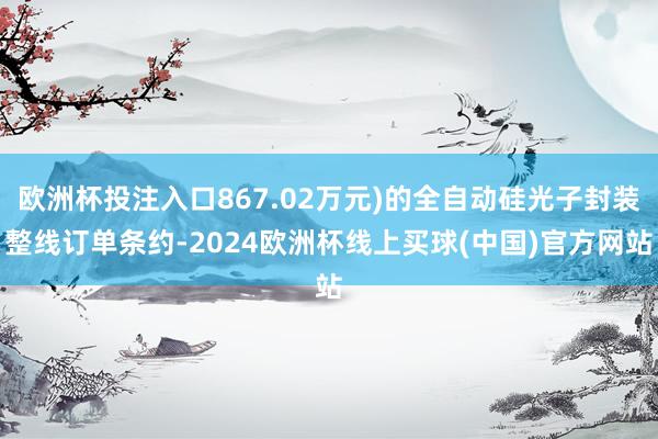 欧洲杯投注入口867.02万元)的全自动硅光子封装整线订单条约-2024欧洲杯线上买球(中国)官方网站