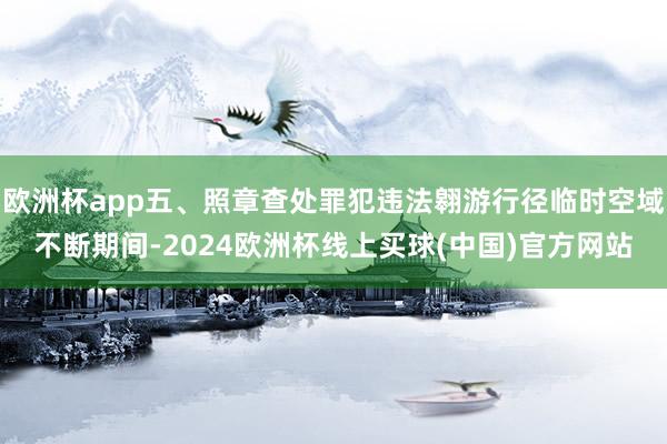 欧洲杯app五、照章查处罪犯违法翱游行径临时空域不断期间-2024欧洲杯线上买球(中国)官方网站