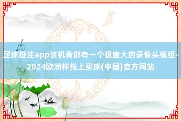 足球投注app该机背部有一个极度大的录像头模组-2024欧洲杯线上买球(中国)官方网站