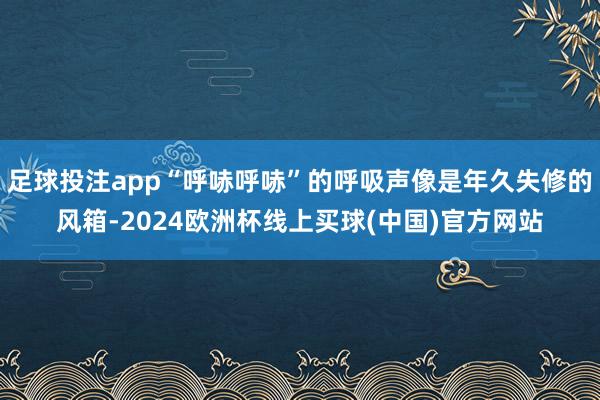 足球投注app“呼哧呼哧”的呼吸声像是年久失修的风箱-2024欧洲杯线上买球(中国)官方网站
