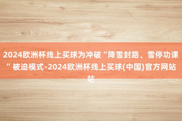 2024欧洲杯线上买球为冲破“降雪封路、雪停功课”被迫模式-2024欧洲杯线上买球(中国)官方网站