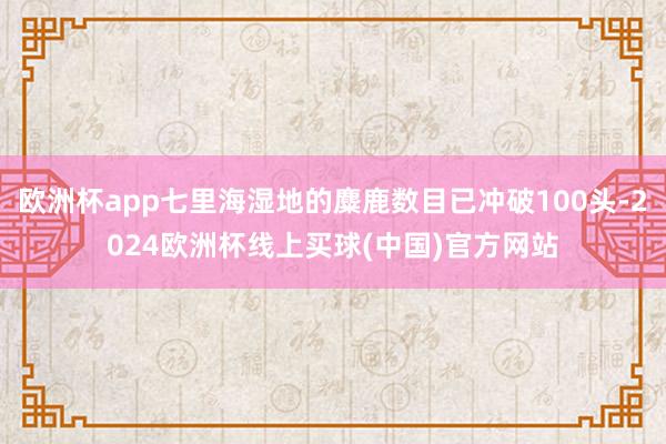 欧洲杯app七里海湿地的麋鹿数目已冲破100头-2024欧洲杯线上买球(中国)官方网站